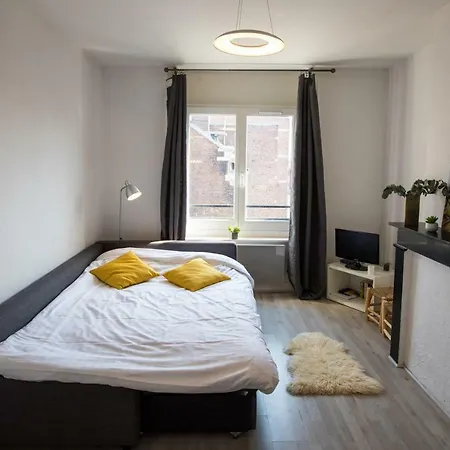 Appartamento Charmant 37 M² Centre